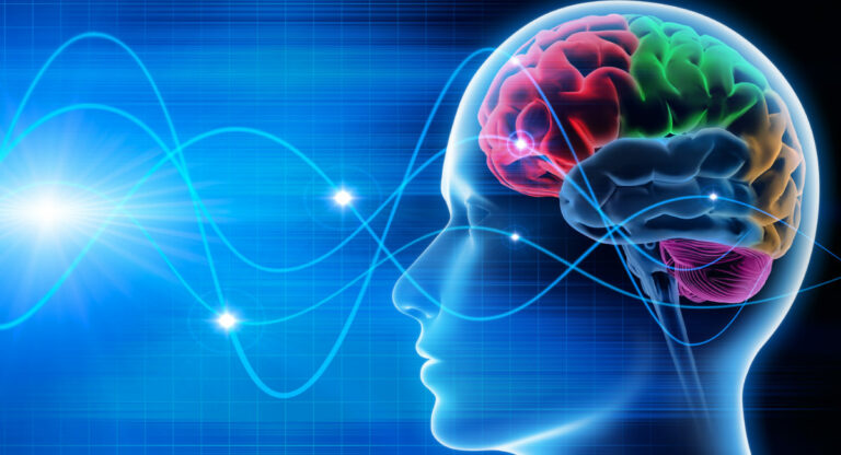 Cervello: Istruzioni per l'uso