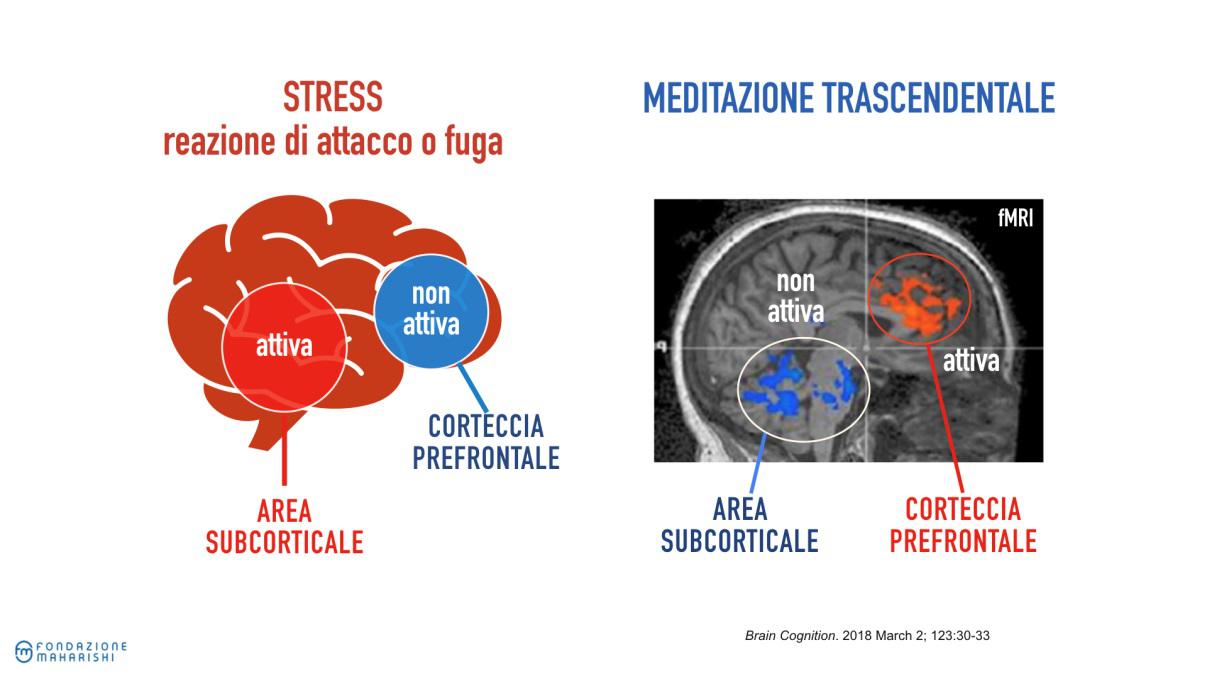 Medico cura te stesso