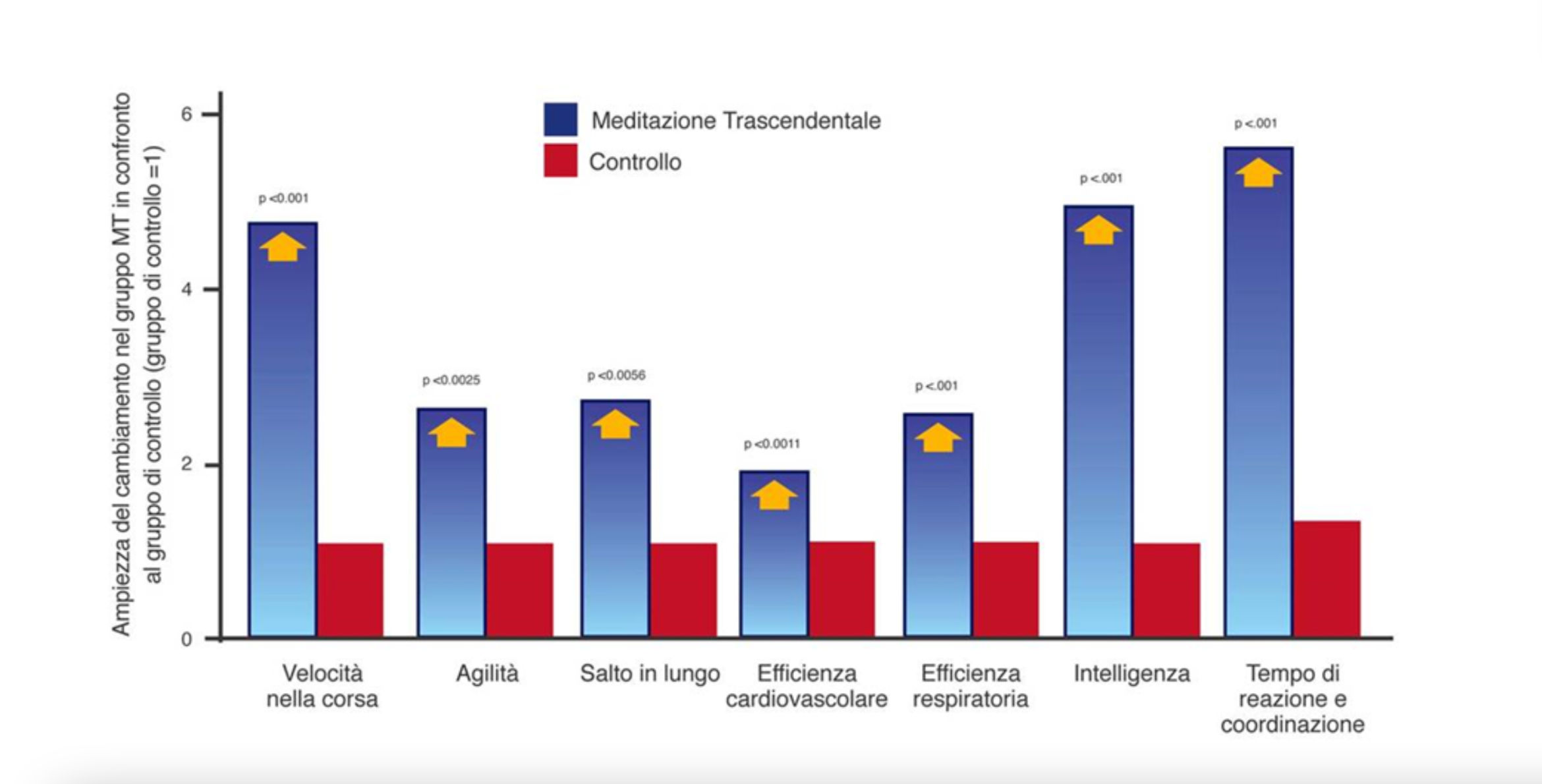 Judo e Meditazione Trascendentale