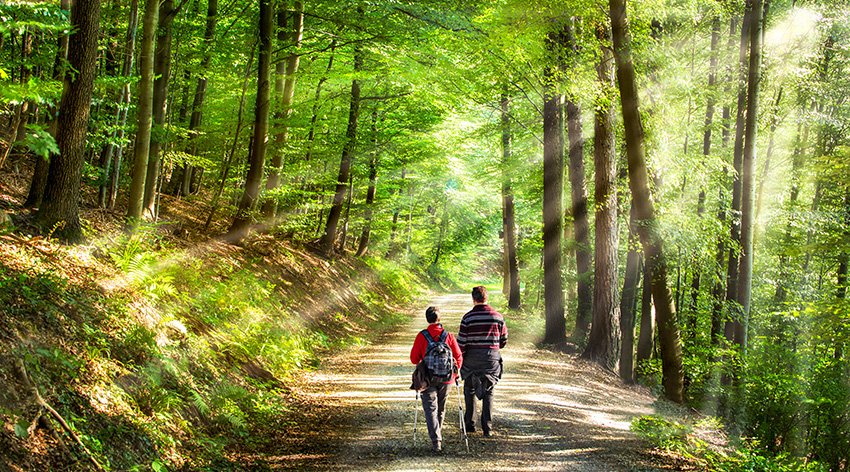 I consigli dell’Ayurveda – luce e attività fisica