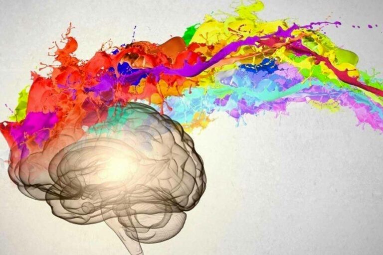 Meditazione Trascendentale e creatività per un mondo migliore